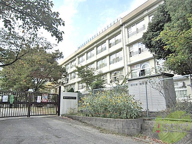 小学校　泉丘小学校（小学校）まで850m