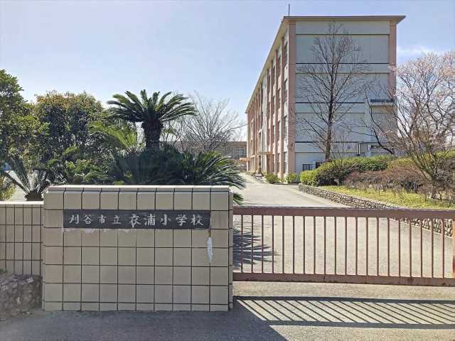小学校　衣浦小学校（小学校）まで1006m
