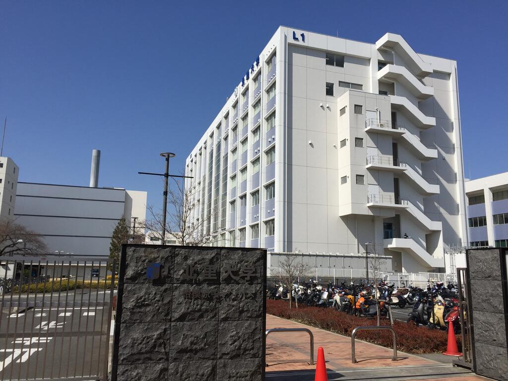 大学・短大　私立北里大学海洋生命科学部（大学・短大）まで343m