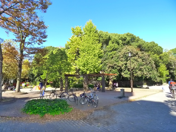 公園　清澄公園（公園）まで477m