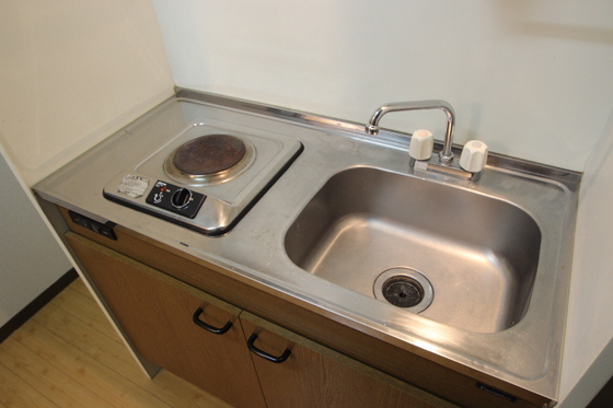 キッチン　※別号室の写真です