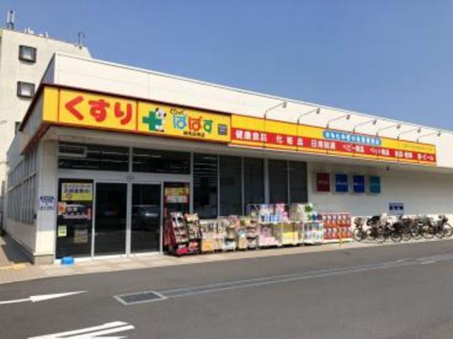 ドラックストア　どらっぐぱぱす練馬田柄店（ドラッグストア）まで595m
