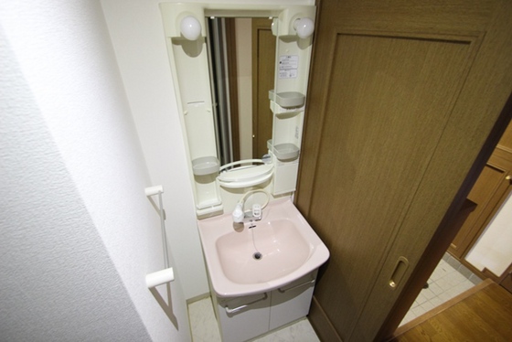 洗面設備　※別号室の写真です