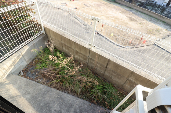 庭　※別部屋の写真です