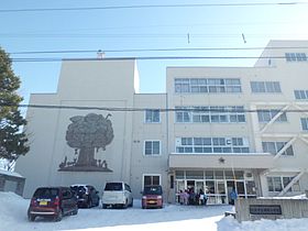 小学校　札幌市立西岡南小学校（小学校）まで191m