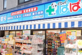 ドラックストア　どらっぐぱぱす小石川1丁目店（ドラッグストア）まで849m