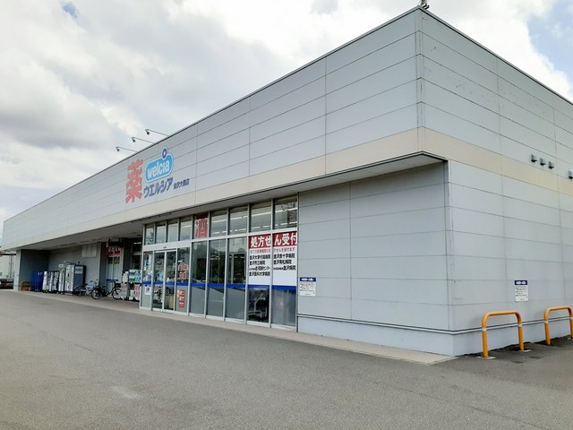 ドラックストア　ウエルシア金沢大桑店（ドラッグストア）まで700m
