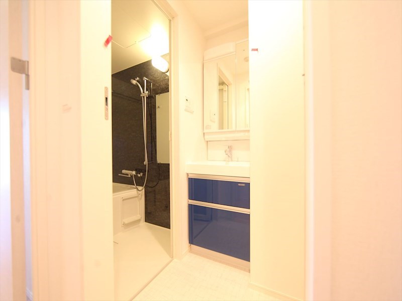 洗面設備　脱衣所　独立洗面台（シャンプードレッサー付）収納スペース有