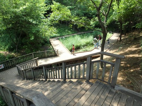 公園　宮前美しの森公園（公園）まで691m