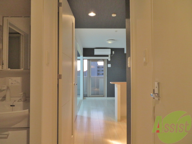 玄関　玄関からの目線です。シックで落ち着いた雰囲気の部屋ですね。