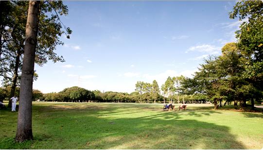 公園　岸根公園（公園）まで727m