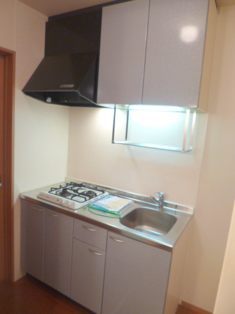 キッチン　女性に嬉しいガス２口システムキッチン