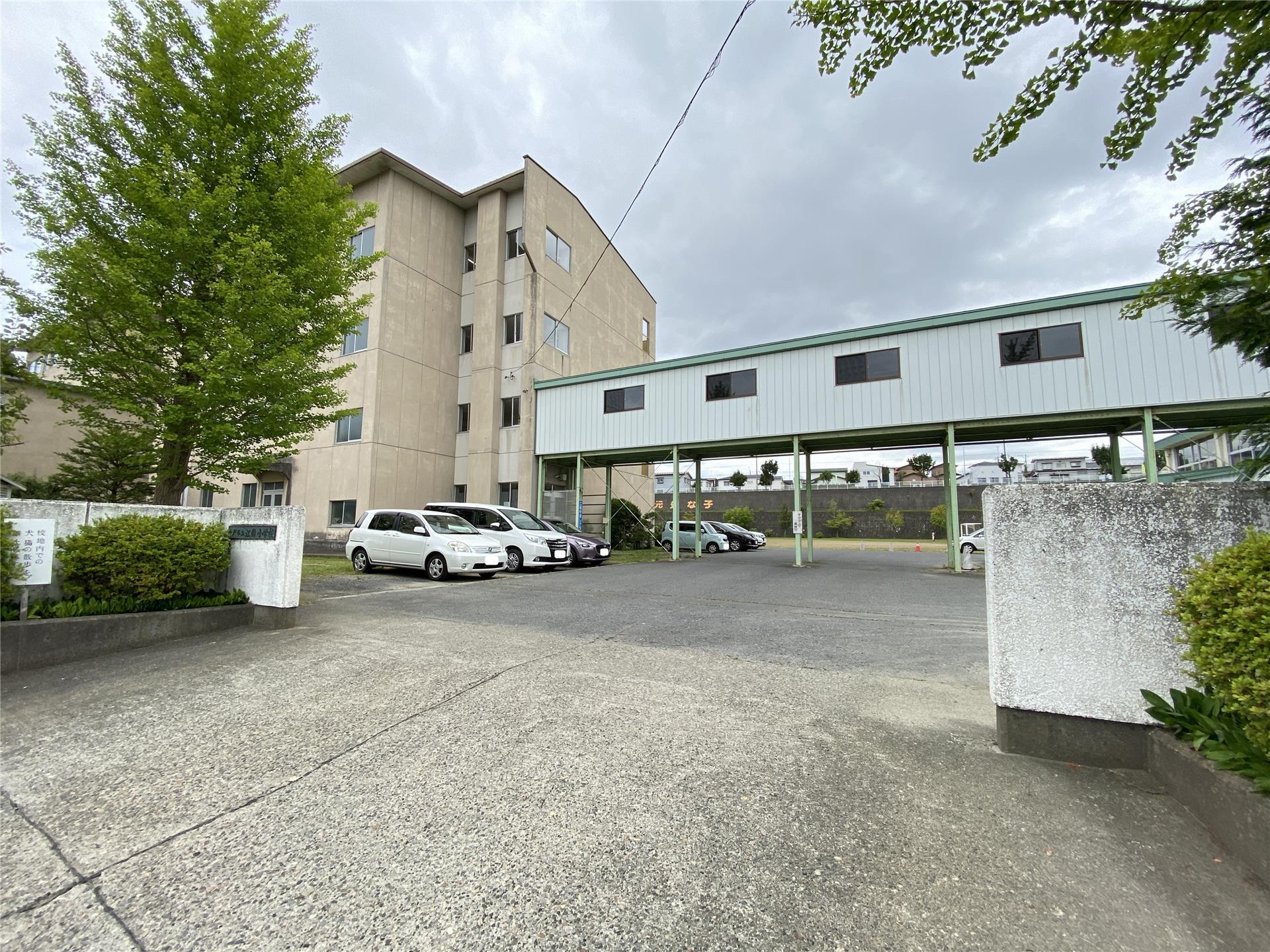 小学校　八戸市立江南小学校（小学校）まで523m