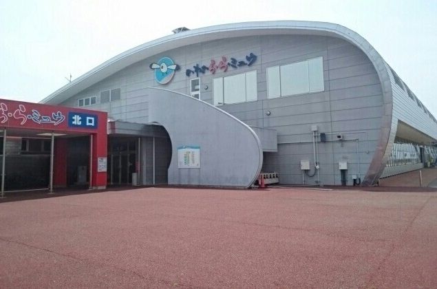 その他　いわき・ら・ら・ミュウ（その他）まで3000m