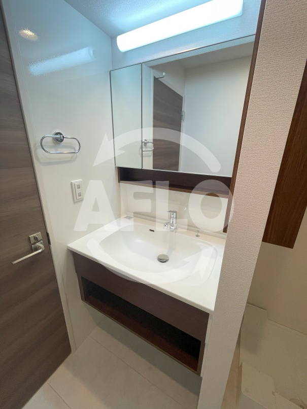 洗面設備　Raccolt阪南町（ラコルト阪南町）独立洗面台