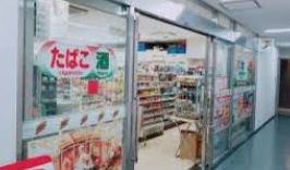 コンビニ　セブンイレブンヤマタネビル店（コンビニ）まで344m