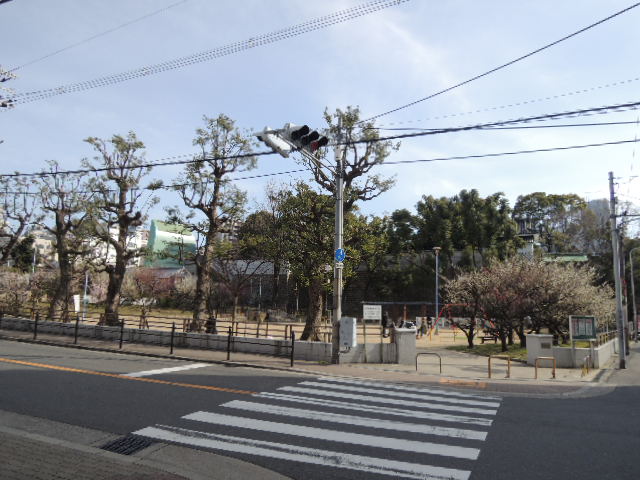 公園　高津公園（公園）まで198m