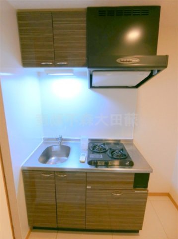 キッチン　2口ガスシステムキッチン