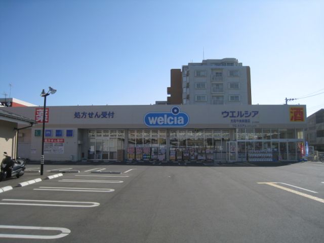 ドラックストア　ドラッグストア（ドラッグストア）まで310m