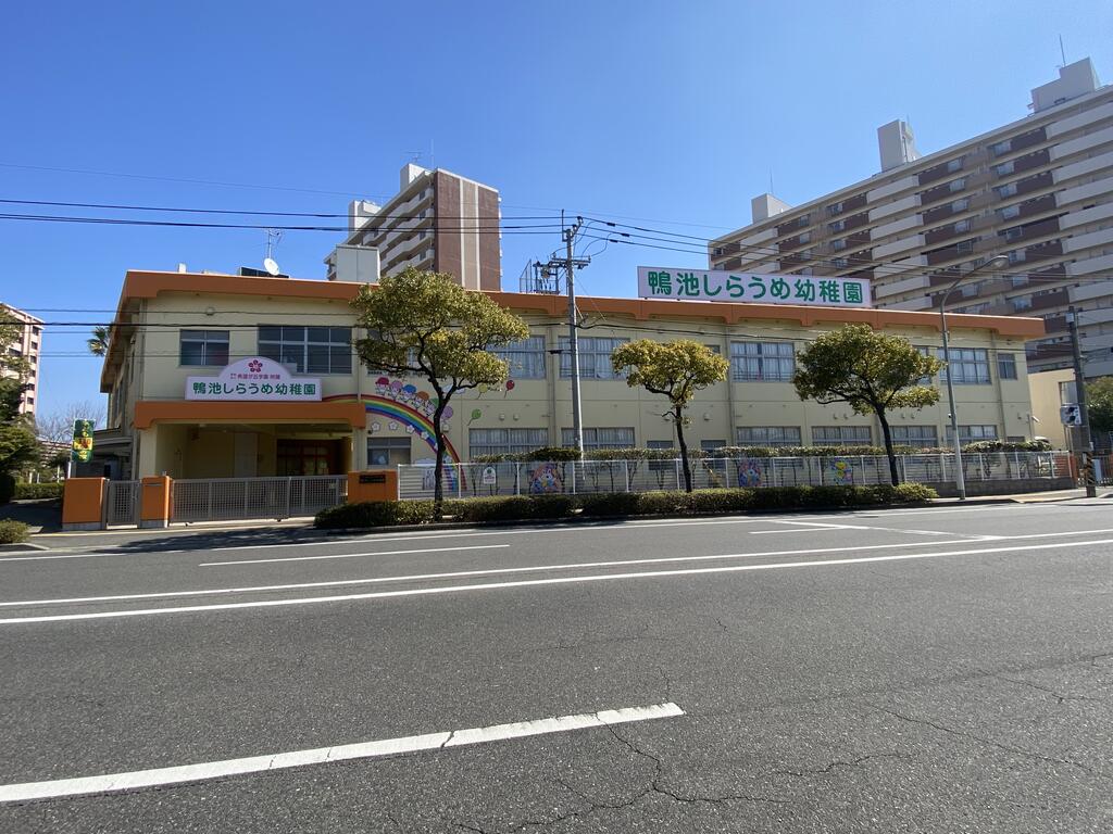 幼稚園・保育園　鴨池しらうめ幼稚園（幼稚園・保育園）まで262m