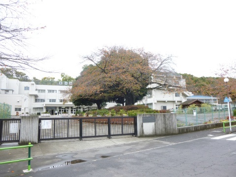 小学校　日野市立東光寺小学校（小学校）まで396m