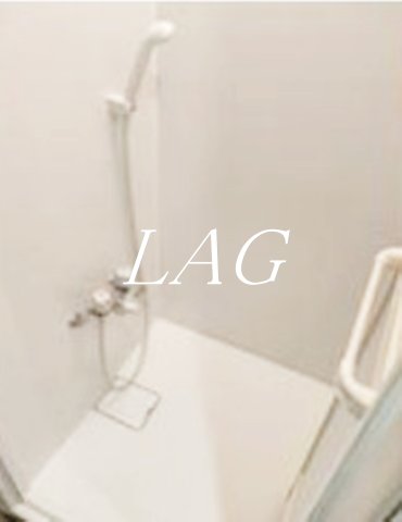 バス・シャワールーム　シャワールームになります。