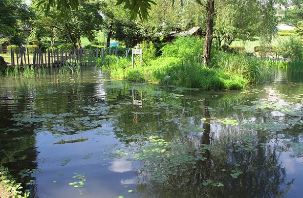 公園　新川丸池公園（公園）まで675m