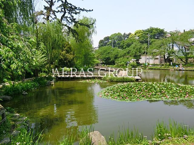 公園　白幡池公園（公園）まで602m