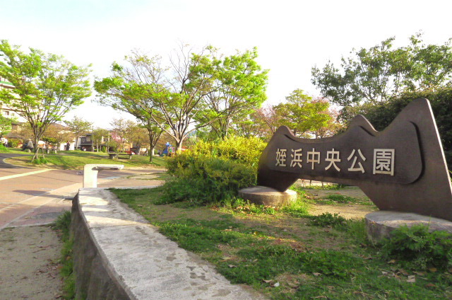 公園　姪浜中央公園（公園）まで208m