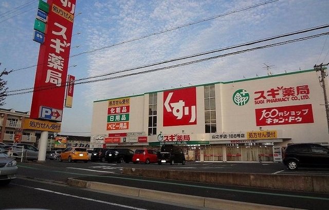 その他　スギ薬局まで300m