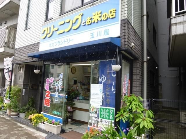 その他　有限会社オガワランドリー余丁町店（その他）まで242m