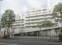 小学校　千代田区立和泉小学校（小学校）まで708m
