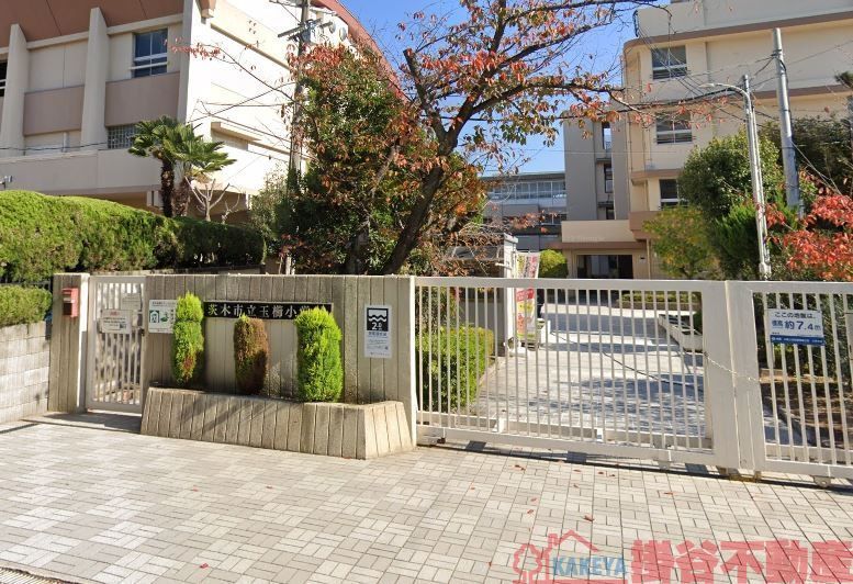 小学校　茨木市立玉櫛小学校（小学校）まで540m
