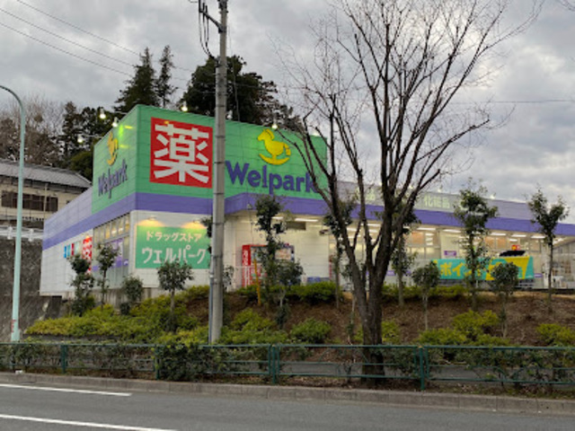 ドラックストア　ウェルパーク八王子堀之内店（ドラッグストア）まで604m