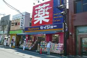 ドラックストア　ヘルスケアセイジョー妙蓮寺店（ドラッグストア）まで810m