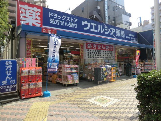 ドラックストア　ウエルシア薬局相模大野店（ドラッグストア）まで405m