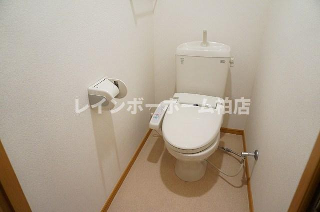 トイレ　トイレです