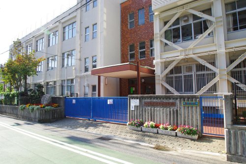 小学校　神戸市立本山南小学校（小学校）まで873m