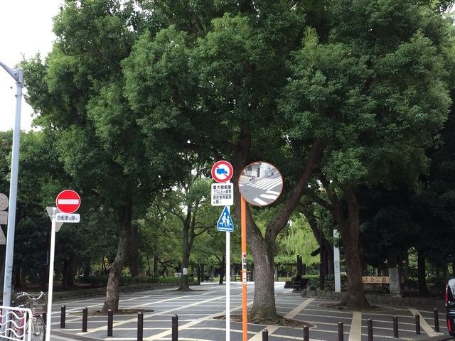 公園　清澄公園（公園）まで790m