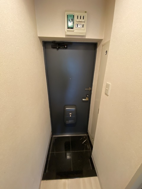 玄関　シューズボックス付