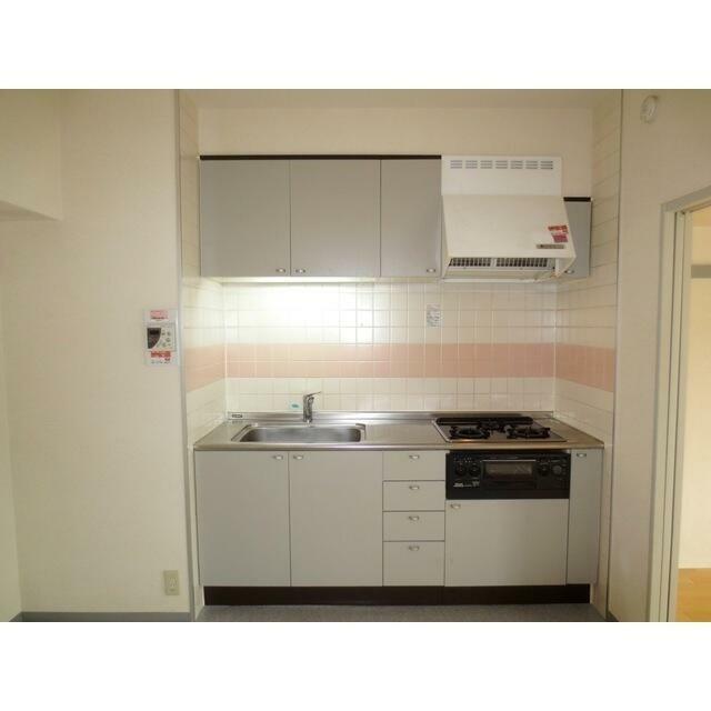 キッチン　同タイプ・別部屋画像