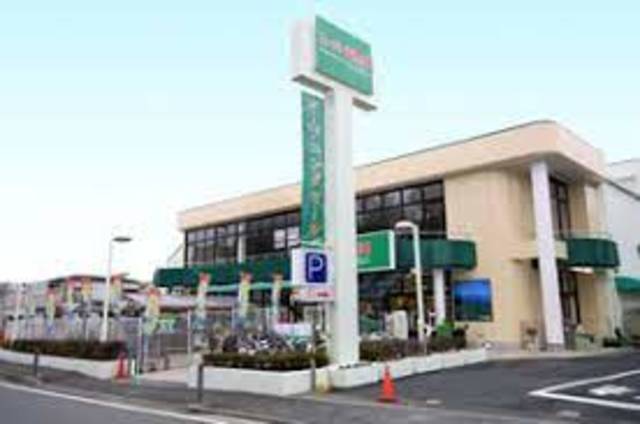 スーパー　スーパー生鮮館TAIGA岡津店（スーパー）まで382m