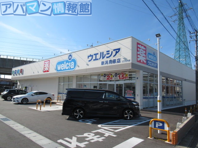 ドラックストア　ウエルシア新潟鳥原店（ドラッグストア）まで1525m