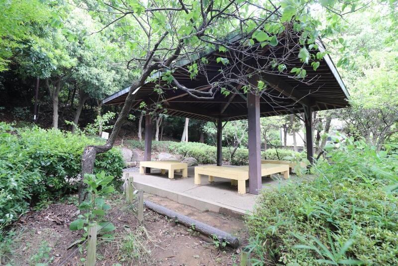 公園　岡本梅林公園（公園）まで1054m