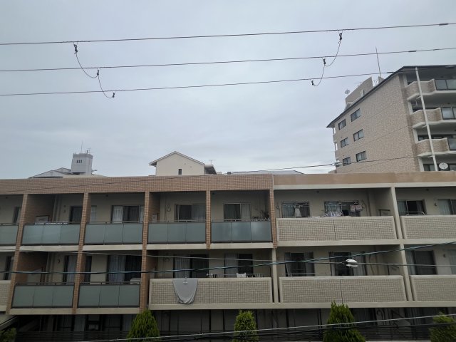 眺望　NOA　SION　眺望