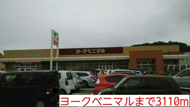 スーパー　ヨークベニマル（スーパー）まで3110m