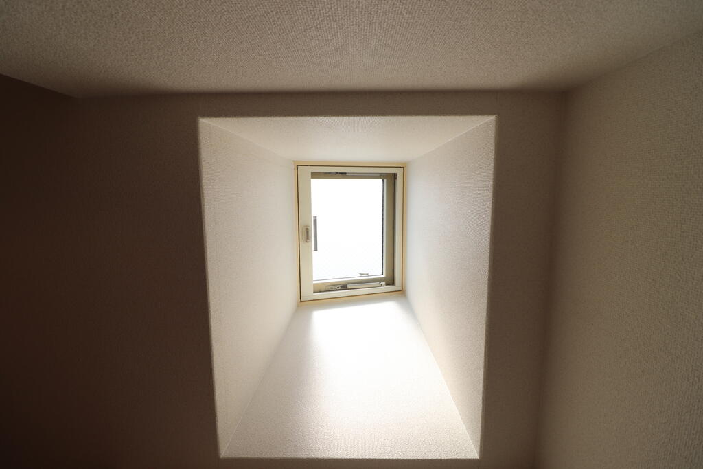 ブルーノクターンのその他写真