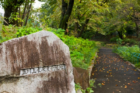 公園　玉川上水永泉寺緑地（公園）まで239m