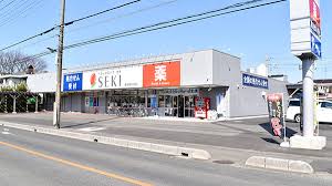 ドラックストア　ドラッグストアセキ春日部大沼店（ドラッグストア）まで670m