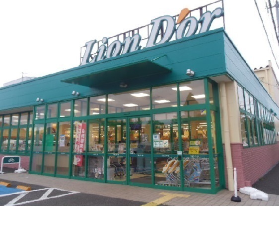 スーパー　リオン・ドール南中央店（スーパー）まで850m